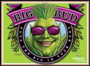  Big Bud Advanced nutrients: Dosis, consejos y trucos