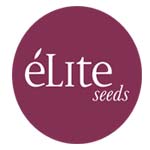 Elite Seeds