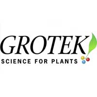 Grotek