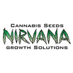 Nirvana Seeds