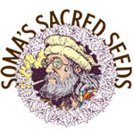 Soma Seeds