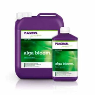 Alga Bloom