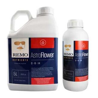 remo astroflower 