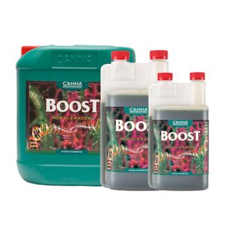 Boost Canna