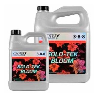 SoloTek Bloom