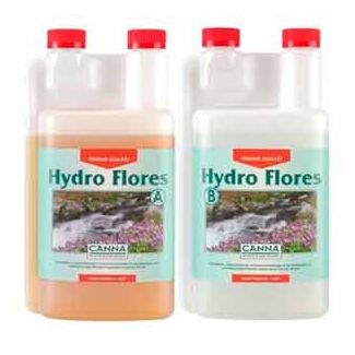 Hydro Flores