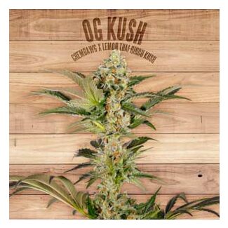 OGKush