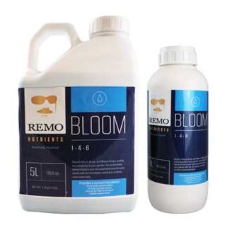 Remo Bloom