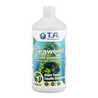 sea weed