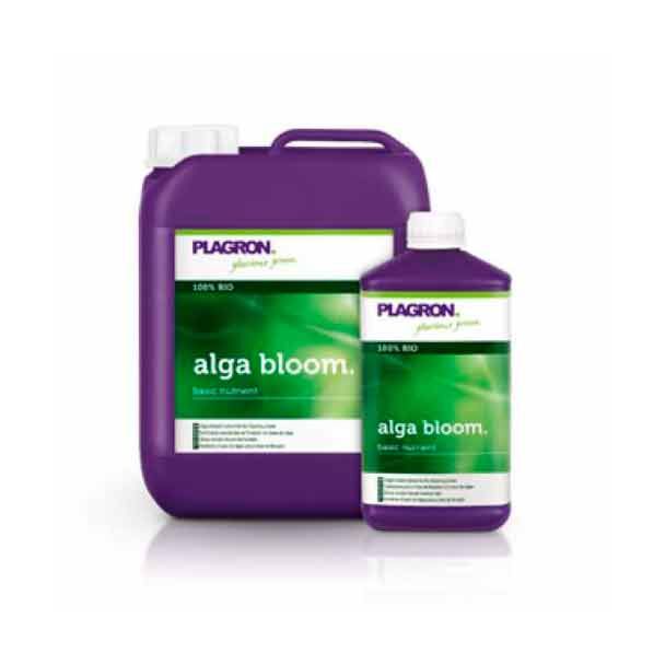 Alga Bloom