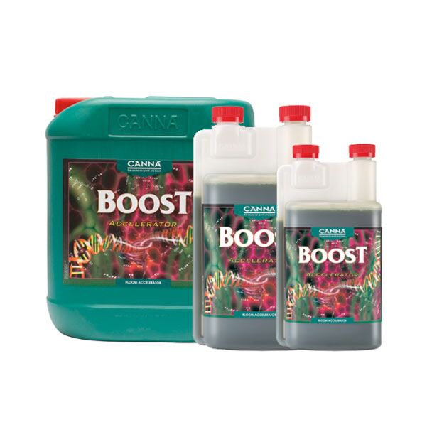 Boost Canna 