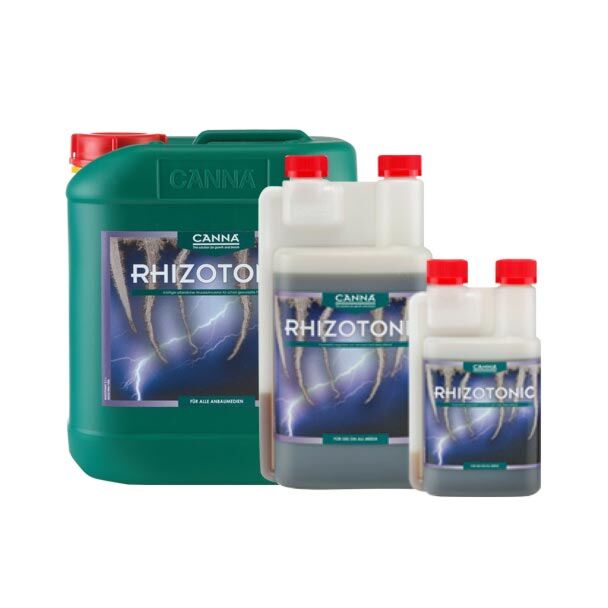 rhizotonic canna