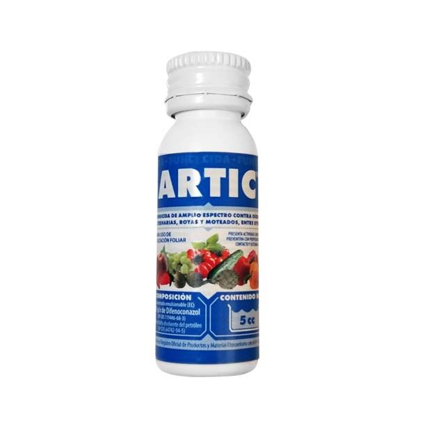 Artic