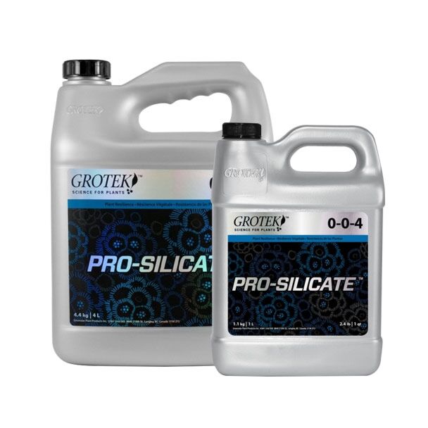 Pro Silicate