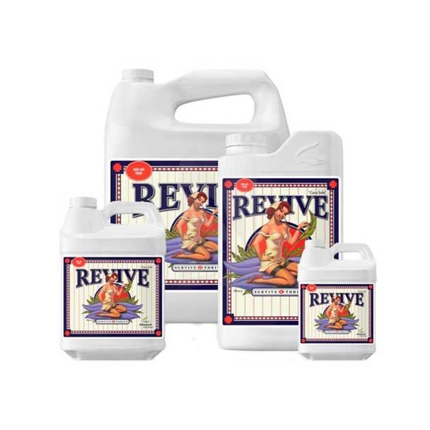 Revive