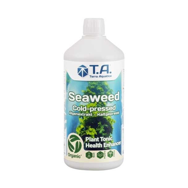 seaweed