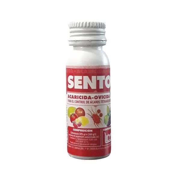 Sento