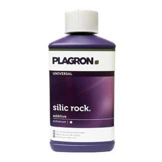 silic rock plagron